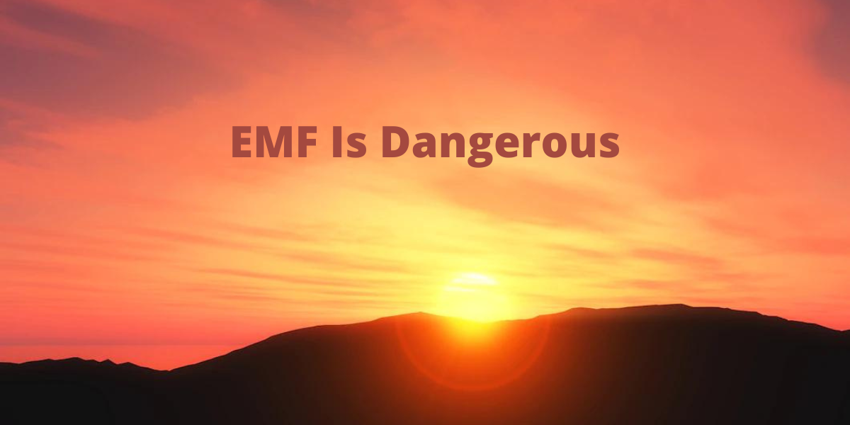Emf Cnf The Shocking Truth You Need To Know - fsre81i