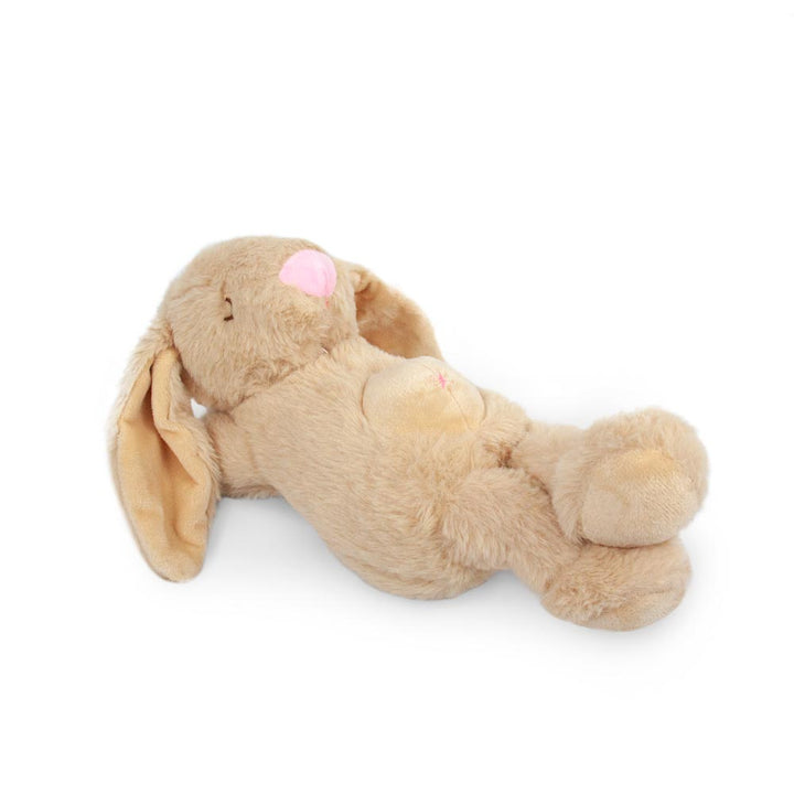 Sleeping Rabbit - Free Shipping