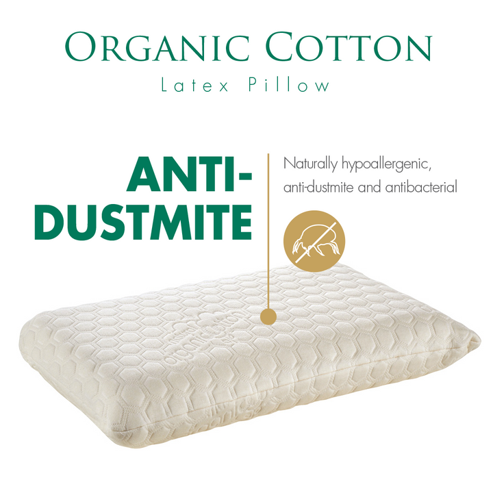 organic cotton latex pillow anti-dustmite