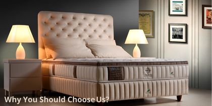 Why You Should Choose Us?