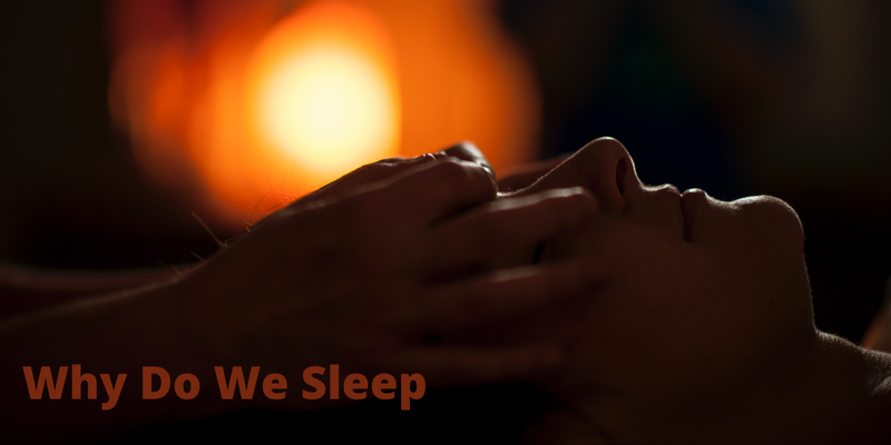 why do we sleep banner