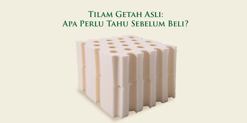 Tilam Getah Asli: Apa Yang Perlu Tahu Sebelum Beli