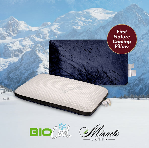 (LIMITED UNIT) Getha Transforme Miracle Latex Pillow (NEW)