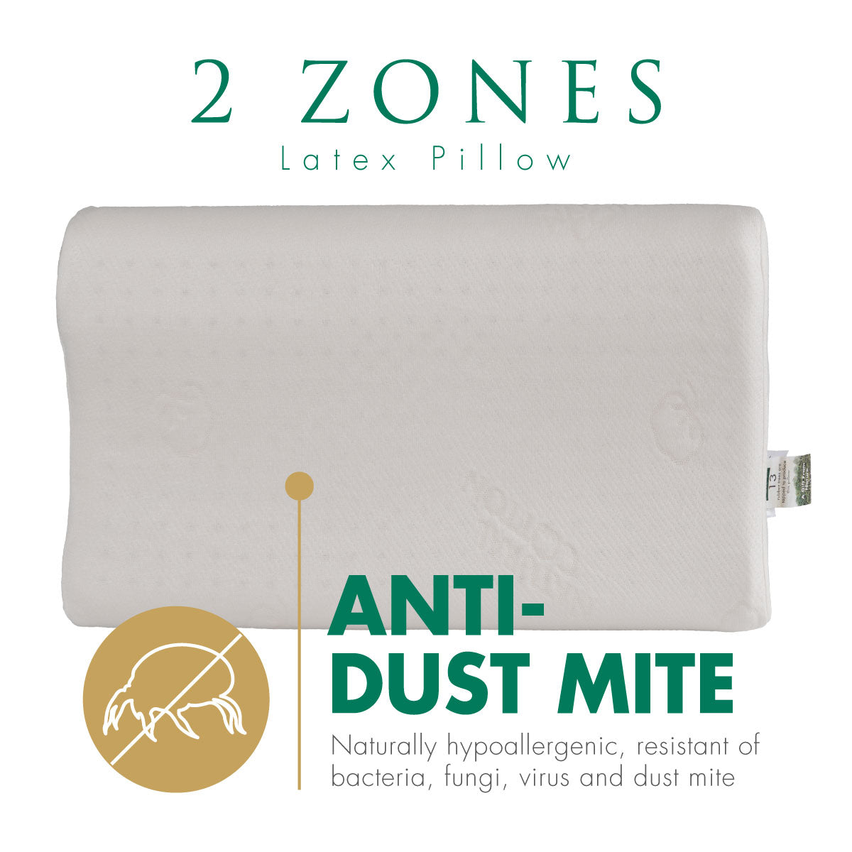 Getha 2 Zone Latex Pillow (Cotton Fabric / Tencel Fabric)