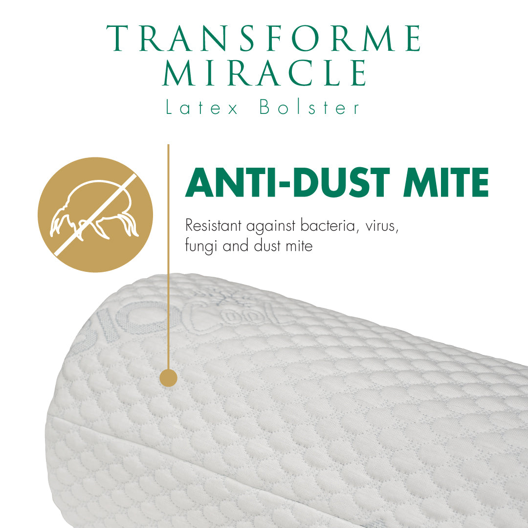 (PRE-ORDER) Getha Transforme Miracle Latex Bolster (NEW)