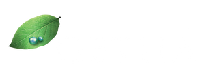 https://getha.com.my/cdn/shop/files/left_leaf_logo.png?v=1614763696&width=300