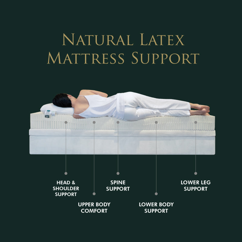 Natural Latex Mattress Support Getha Compass Green Mattress