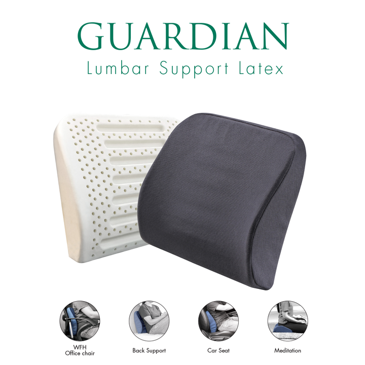 Guardian Lumbar Support Latex Cushion WFH Must Have