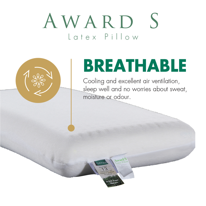 Award S Natural Latex Classic Pillow Getha Online Malaysia
