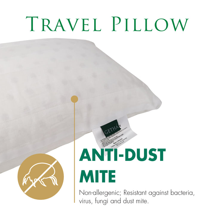 Anti-dust mite Travel Pillow